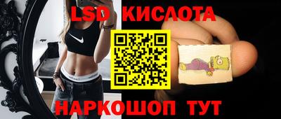стаф Тара