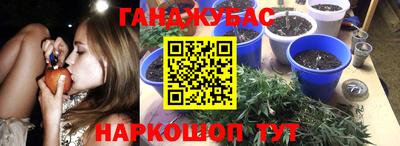крисы Тверь