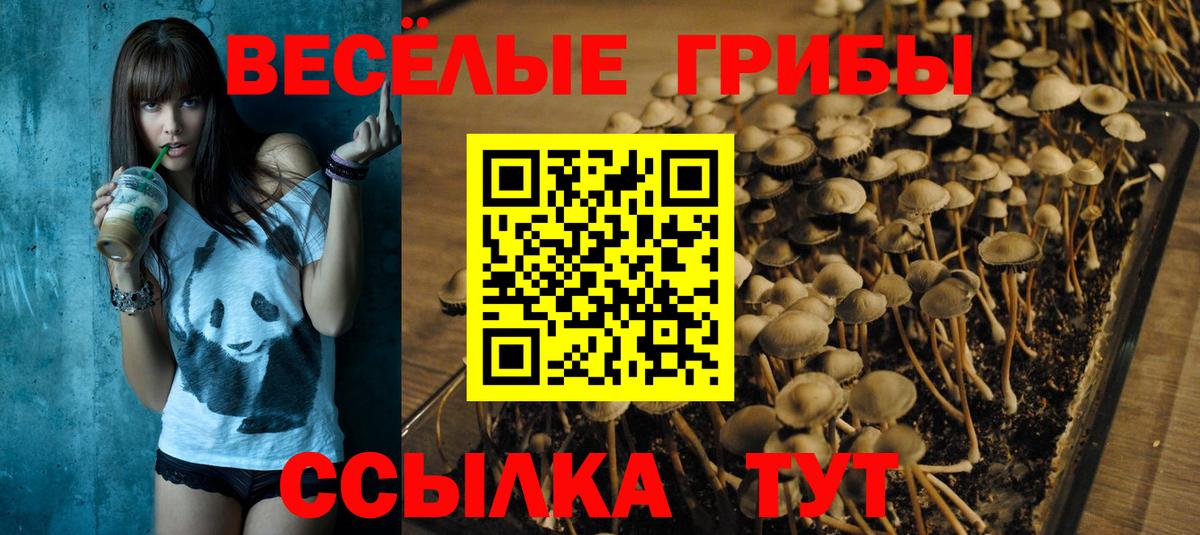 Псилоцибиновые грибы прущие грибы Муром
