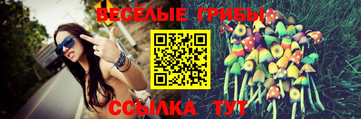 Галлюциногенные грибы GOLDEN TEACHER  Вход с VPN  Муром 